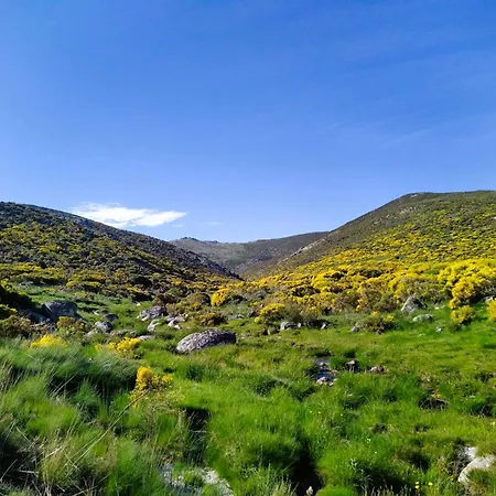 Holiday home Casa Navarenas San Martin del Pimpollar